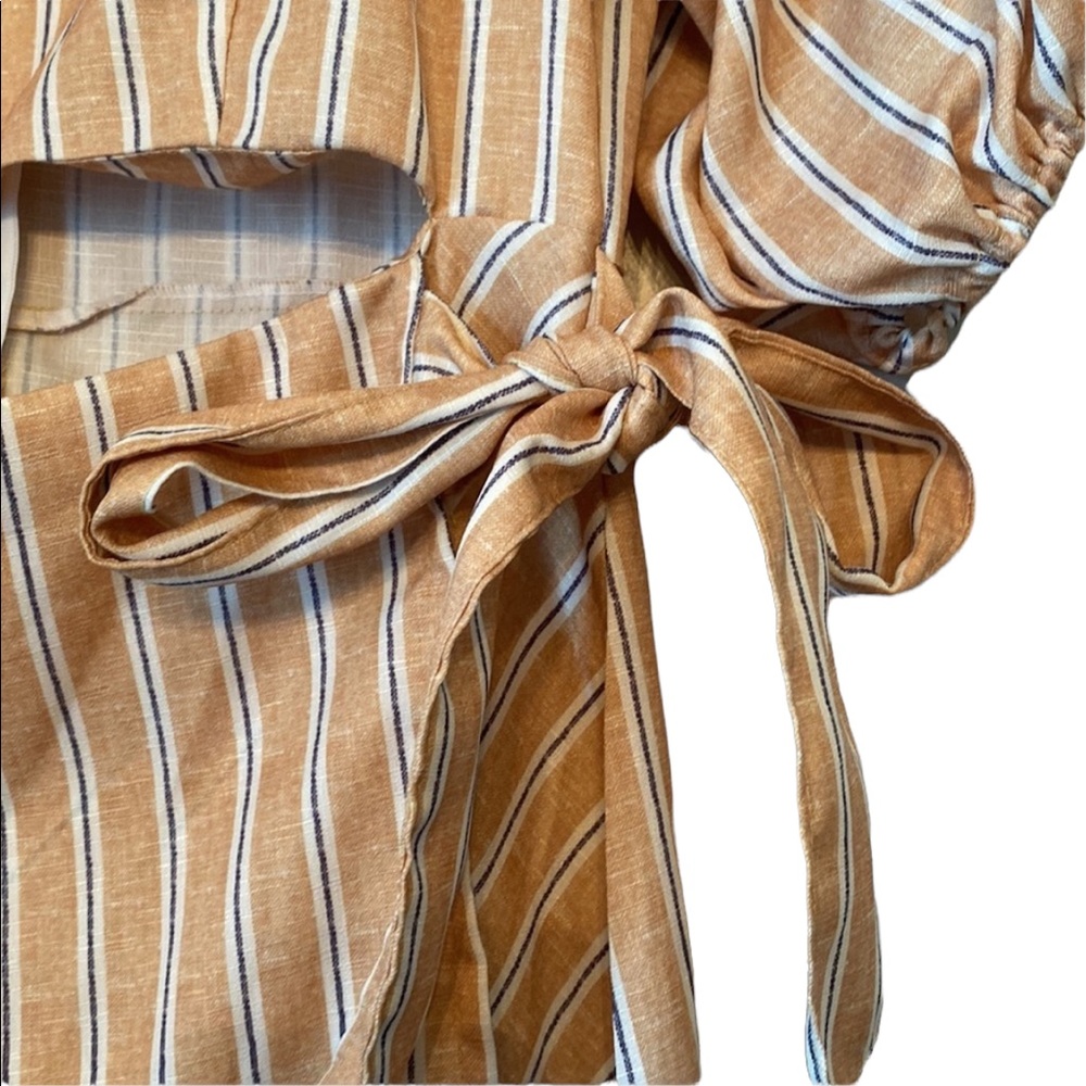 Pink Ripple Camel Striped Zip Back Dress - Picture 6 of 13